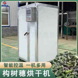 小型商用构树穗烘干机 构蒲穗构树桃子烘干箱 全自动褚桃穗烘干房