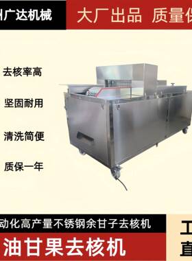 沧州广达机械余甘子去籽机大型供应油柑果去籽机油柑果去核机