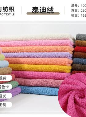 现货260g全涤单面泰迪绒 加厚保暖颗粒绒布 卫衣玩具家居服面料
