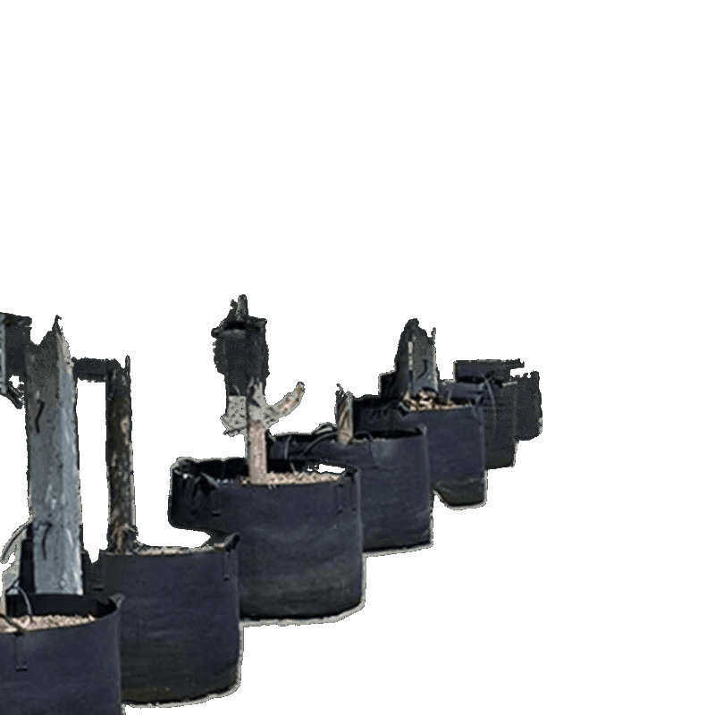 种植箱阳台楼顶种菜盆无纺布种植袋多肉花盆美植袋蔬果月季育苗盘,鲜花速递/花卉仿真/绿植园艺,花盆,淘宝优惠券,粉丝福利购,淘宝优惠卷