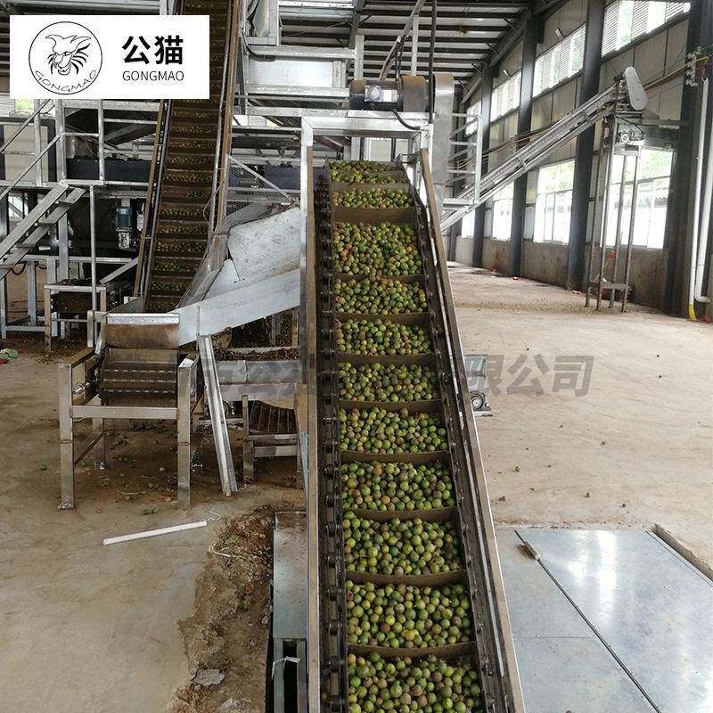 智能夏威夷果 全自动生产线 成套设备 流水线 切口烘干一体