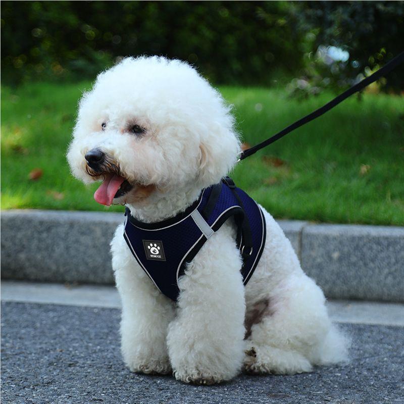 新幼款狗牵引绳背心式犬遛狗狗狗胸丢宠失狗防绳子物other用品反