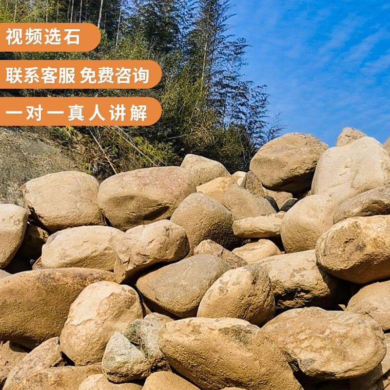 天然水冲石产地直供园林奇石摆件庭院石黄蜡石观赏
