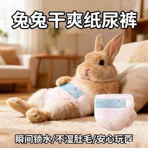 兔子纸尿裤干爽透气宠物生理裤瞬间锁水不湿肚毛侏儒兔接尿布屎兜
