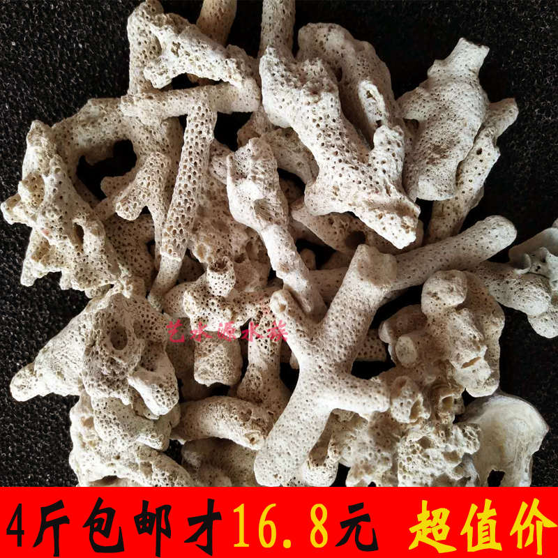 珊瑚沙锦鲤过滤材料鱼缸水族箱底砂造景石活石珊瑚骨鱼池净水包邮