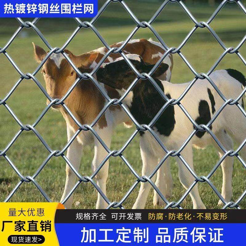热浸镀锌勾花网围栏圈牛羊防护家用养殖钢丝网养鸡狗果园隔离护栏
