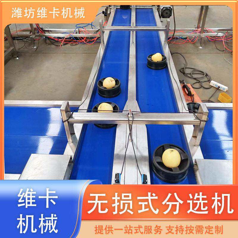 丰水梨选果机 糖度分选设备 无损内部检测 菠萝重量分级机