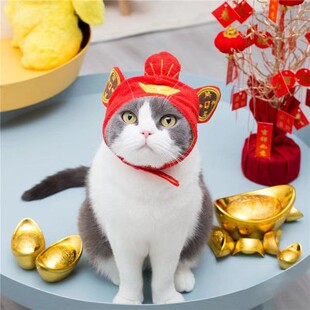 猫咪帽子发财帽可爱头饰搞怪拍照装饰新年喜庆财神帽宠物狗狗装扮