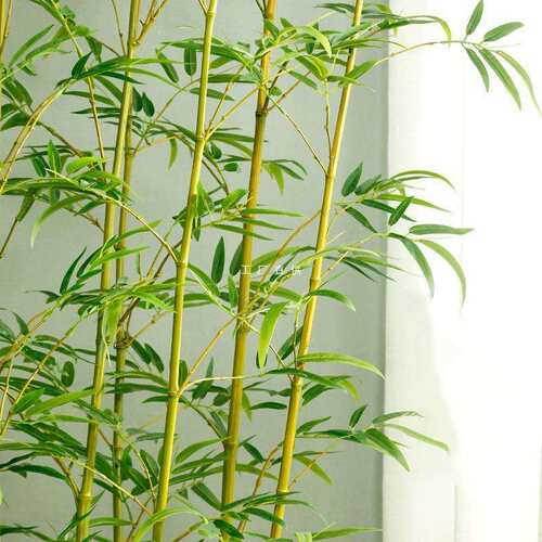 竹子造景装饰假竹子植物隔断挡墙酒店仿生竹子装饰品