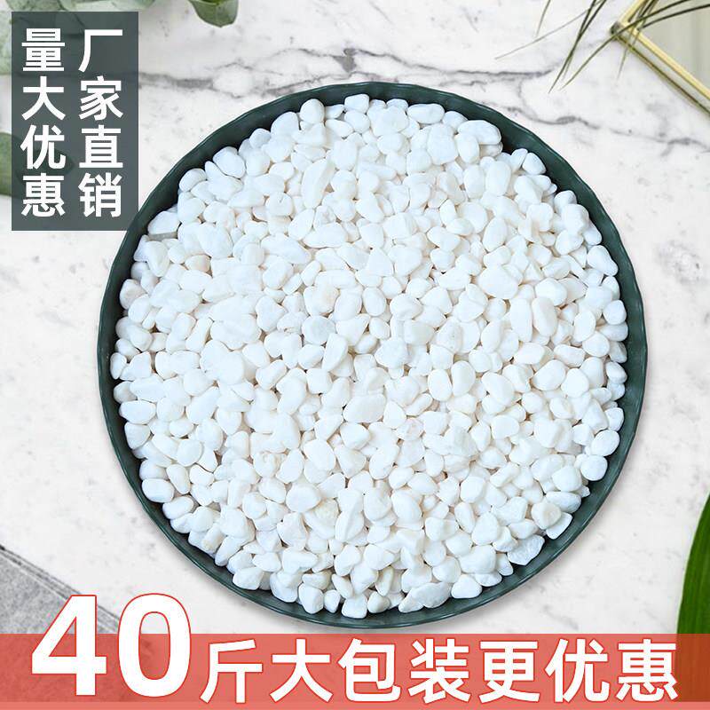 40斤白色石头大鹅卵石水洗石庭院铺地舖路花园盆栽鱼缸装饰白石子