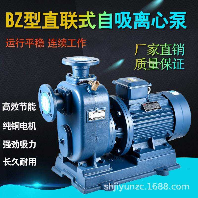 夏琅夏朗电动抽油泵自吸柴油泵抽液泵油桶泵750W, 220V