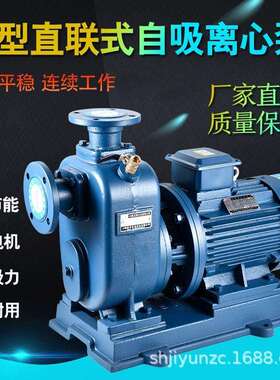夏琅夏朗电动抽油泵自吸柴油泵抽液泵油桶泵750W, 220V