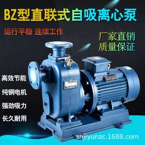 夏琅夏朗电动抽油泵自吸柴油泵抽液泵油桶泵750W, 220V