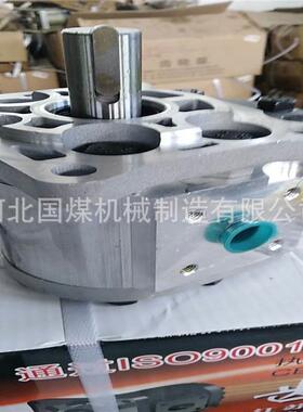 YBC16/160齿轮油泵-石家庄YBC齿轮泵