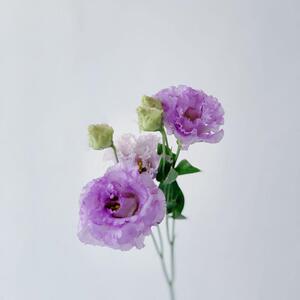 混搭紫色粉色蛋糕洋桔梗鲜花花束家用水养客厅云南速递鲜花百搭直