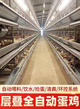 自动化蛋鸡养殖设备鸡舍自动捡蛋集蛋鸡笼镀锌大层叠式蛋鸡笼厂家
