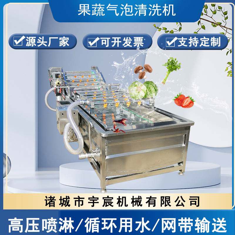 大型全自动果蔬清洗机蓝莓枸杞清洗风干线鲜姜去杂质气泡清洗机