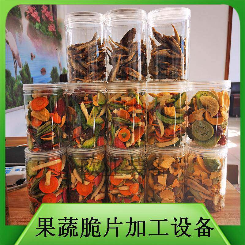 新款低温真空油炸机 农村创业项目 果蔬脆片加工 水果干脱水机