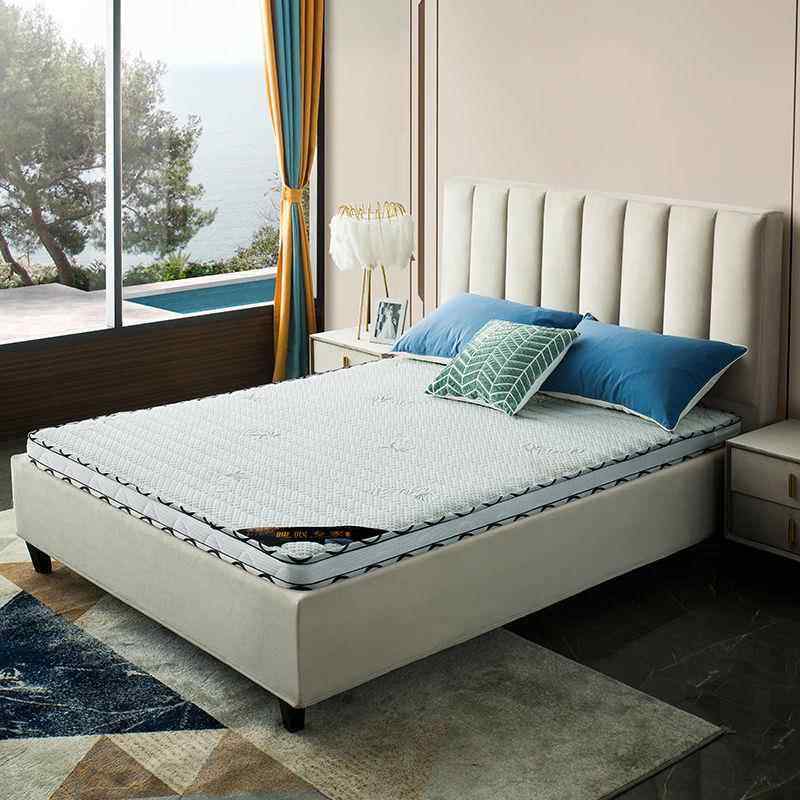 环保椰棕床垫双人.加厚.棕垫偏硬棕榈床垫子经济型折叠