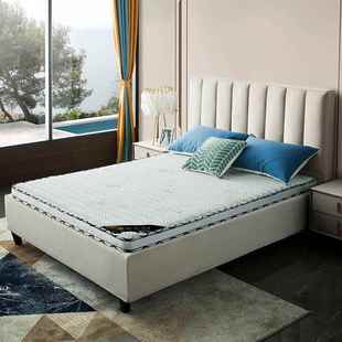 EKW椰棕垫双人1床8m加厚1.5m棕垫垫偏硬棕榈床子经济.型折叠电商