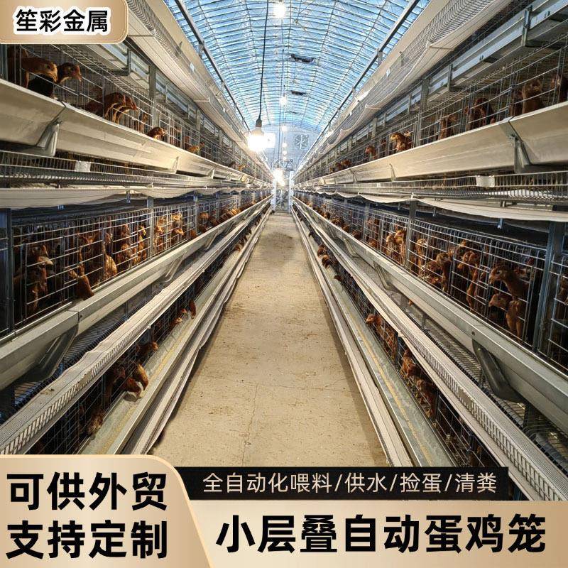 小层叠蛋鸡笼自动化鸡笼养殖场自动化清粪捡蛋喂料鸡场养殖设备