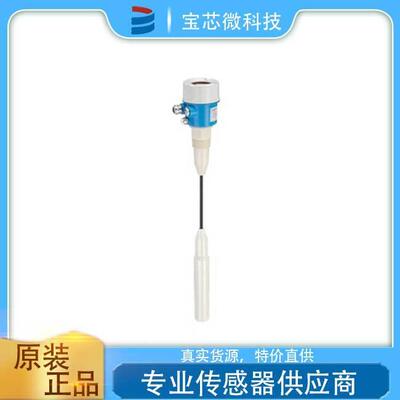 瑞士E+H恩德斯豪斯 电容式限位检测Minicap 型号FTC262-AA62J1