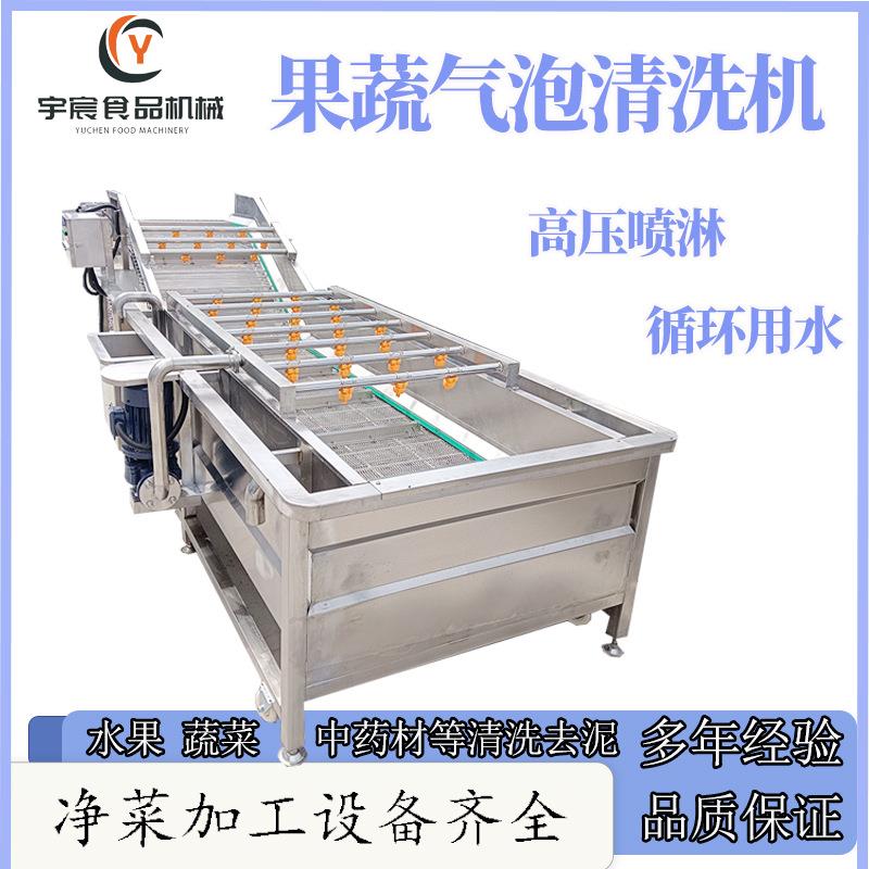 气泡清洗机商用大型圣女果橘子香菇辣椒清洗中房净菜加工设备