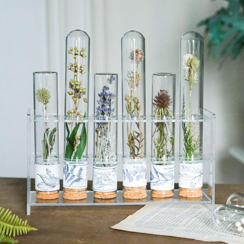 玻璃试管干花手作样板间书房桌面摆件现代实验风植物标本道具礼物