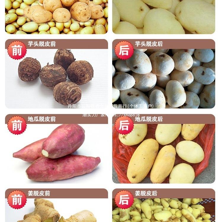 土豆脱皮机商用小型全自动洋葱清洗削皮家用地瓜姜洋芋头去皮