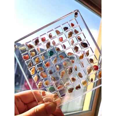 Acrylic Magnetic Seashell Display Box 亚克力磁性贝壳展示盒