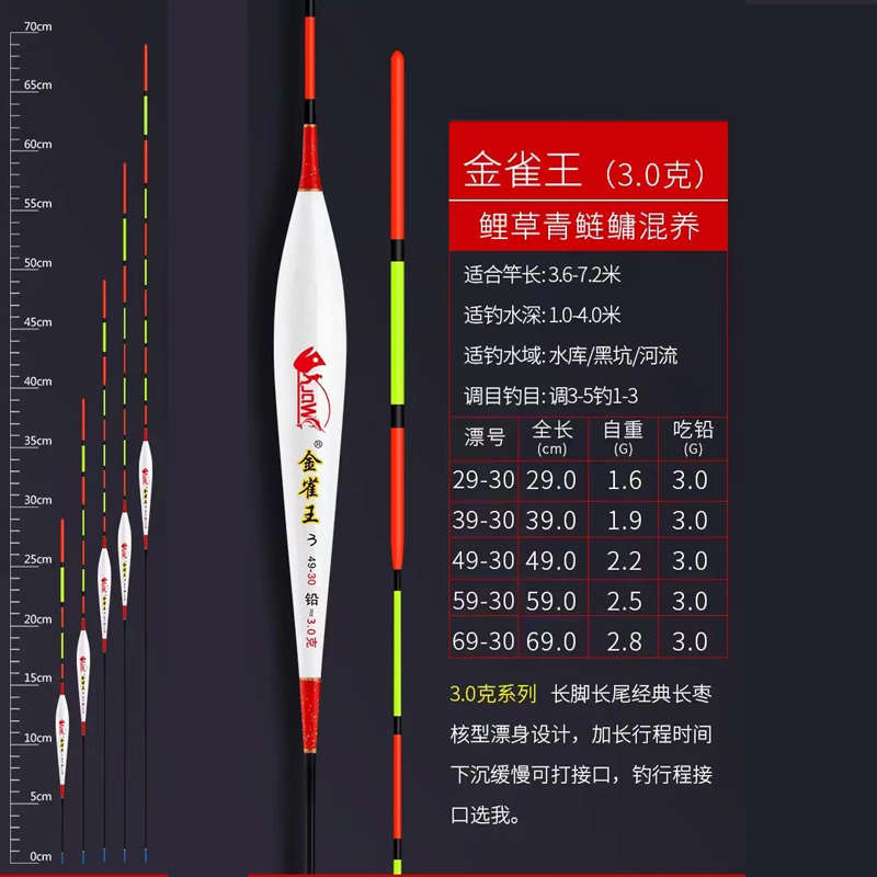 金雀王纳米大物漂黑坑青鱼草鱼鲢鳙混养加粗目行程挂珠珠浮漂