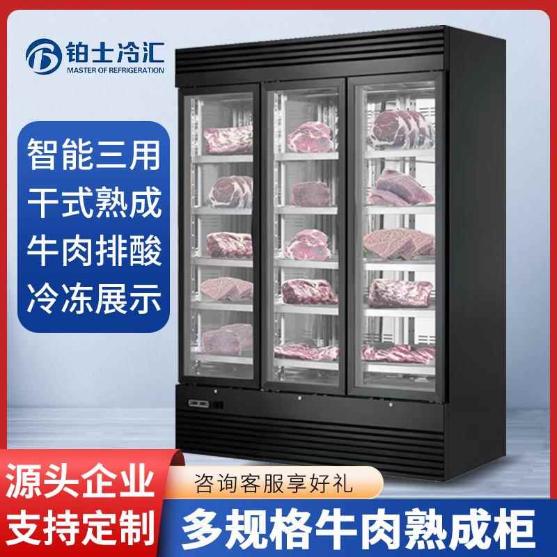 铂士干式牛肉熟成柜牛肉冷冻柜排酸恒温柜高端牛排熟成排酸柜