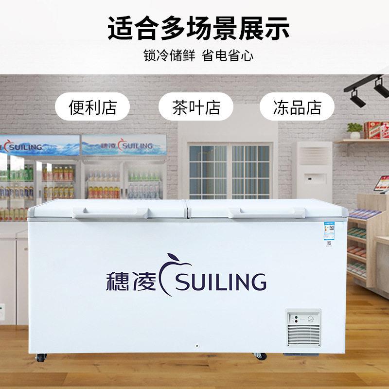 穗凌BD小型冰柜卧式冷冻柜商用大容量冷冻冷藏冰箱雪柜餐饮店冷柜