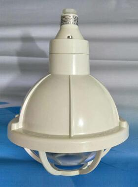 50W防水防尘壁灯FAD-E50/BGL-200S增安型防爆防腐灯吸顶吊杆