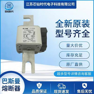 170M4264 170M4265 170M4266巴斯曼BUSSMANN熔断器保险丝