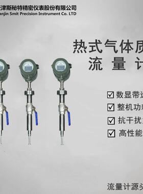 插入式热式气体质量流量计SFM800/空气流量计/氧气流量计斯秘特