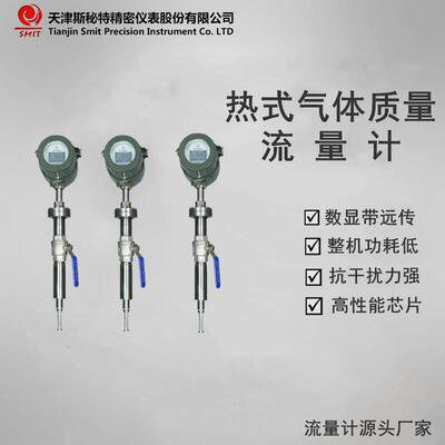 插入式热式气体质量流量计SFM800/空气流量计/氧气流量计斯秘特
