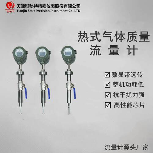 插入式管道式小流量气体流量计热式气体质量流量计氧气计量