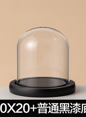 玻璃罩工艺品防尘罩永生装饰摆件