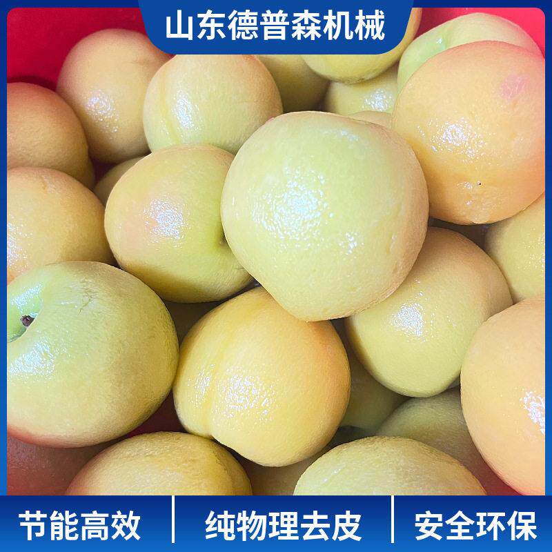 大型商用全自动不锈钢去皮机纯物理果蔬蒸汽去皮机