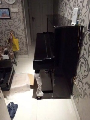 谁来说说布鲁诺钢琴和珠江对比哪个好用些，来说说真相？