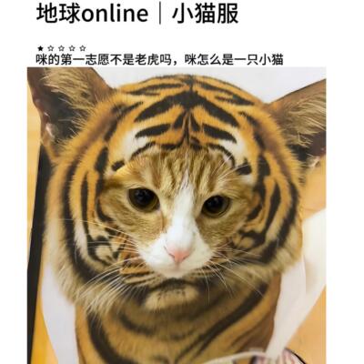 【小猫online】动物园里有什么抽象可爱小动物cos画a4纸猫咪头套
