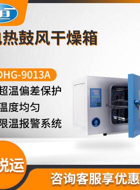 上海一恒DHG-9013A/DHG-9023A/DHG-9053A型 实验室电热鼓风干燥箱