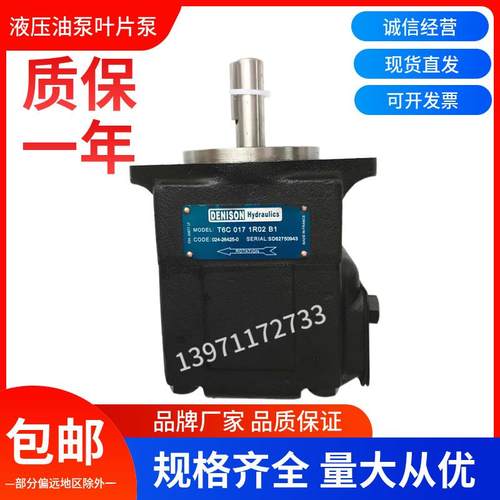 叶片油泵T6C-017-1R01-B1 高压油泵T6D-028注塑机液压泵T6E动力泵