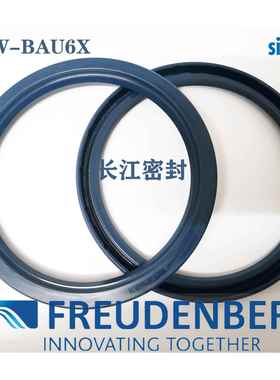 德国进口CFW骨架油封BAU6X2 110-140-12 simrit 单唇骨架油封