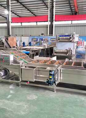 全自动GYR气泡洗机叶菜类果蔬清设备萝卜生姜气泡洗清机洗输送清