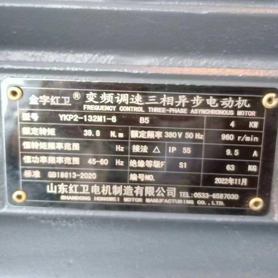 山东厂家直供YP2-132M1-6/4WYP2系列宽频调速三相异步电动机