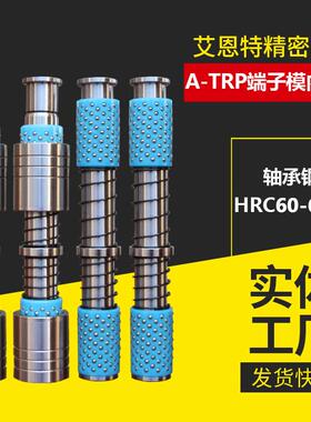 滚珠导柱导套轴承钢A-TRP端子模十字SGPWH精密模具配件16 20 25