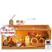 麓f芦丁鸡饲养箱观赏全套造景小木屋别墅房子保温宠物用品小鸡箱