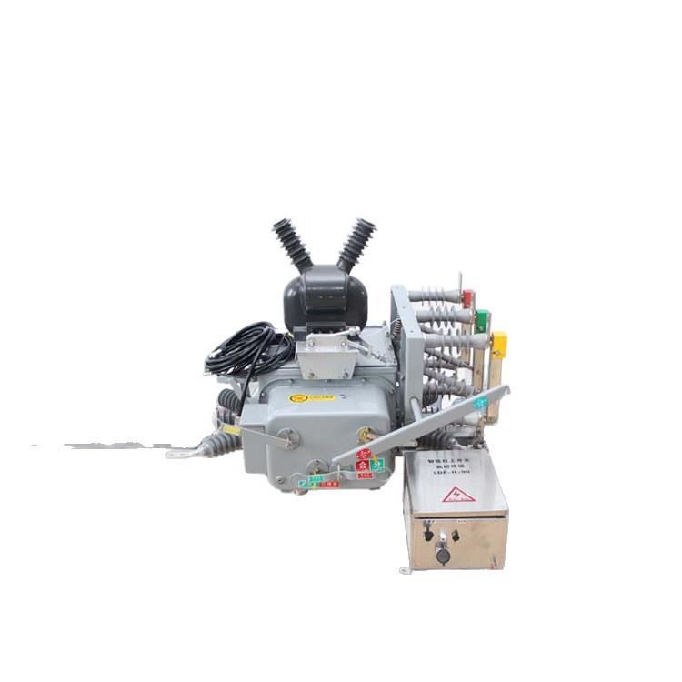 ZW20-12F/630智能分界真空断路器带看门狗 ZW20-12F分界真空开关
